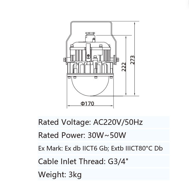 ZBD127 explosion-proof LED light dimensional drawing showing the 170 mm globe diameter and the 273 mm and 222 mm heights