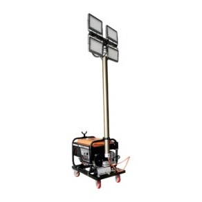 ZSFW6110 Omni-Directional Automatic Flood Work Light