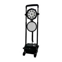 ZSW2600 High-Intensity Explosion-Proof Work Light