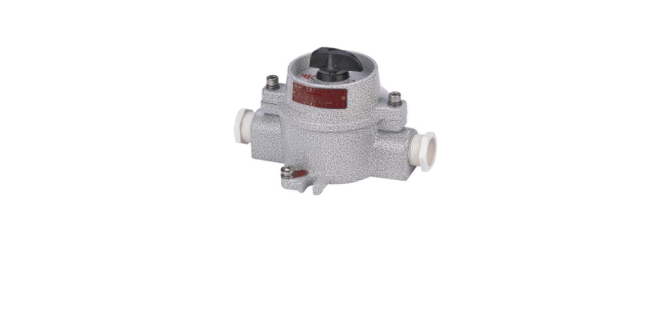BKG Series Explosion-Proof Lighting Switch: product view
