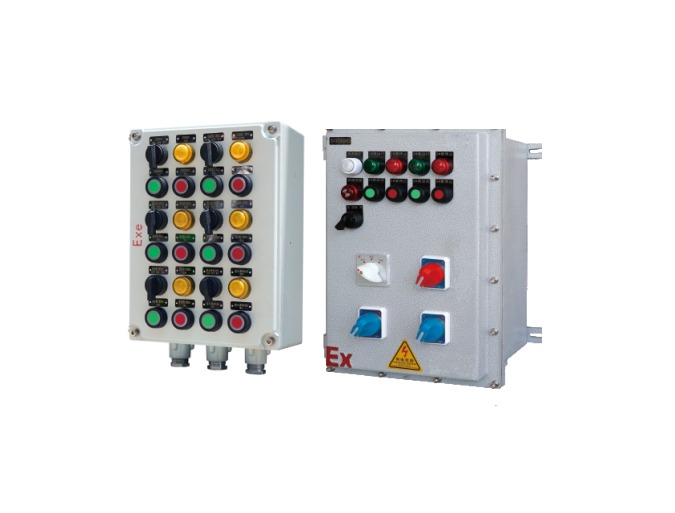 BXK Series Explosion-Proof Control Box: product view